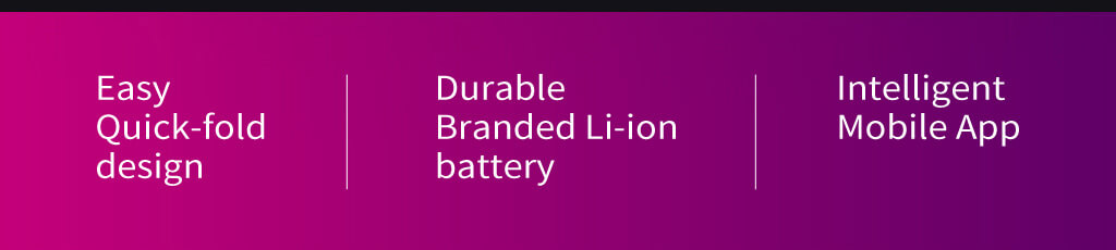 Folding Smart Electric Bike For Sale